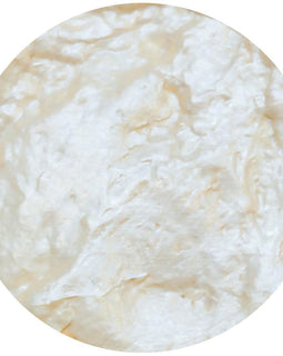 Nuvo Toasted Almond Embellishment Mousse 829N