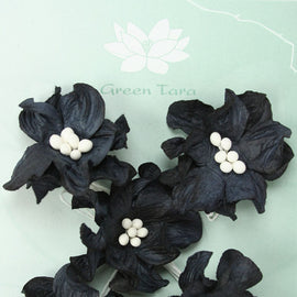 Black Apple Blossoms (FDV044BL5)