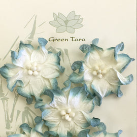 Blue/White Apple Blossoms (FDV044BW5)
