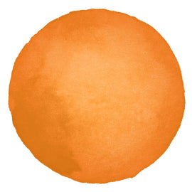 Sunset Orange / Goldfish Alcohol Ink CO727334