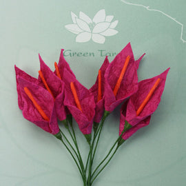 Cerise with Orange Stamen Calla Lillies (FDV051COr10)