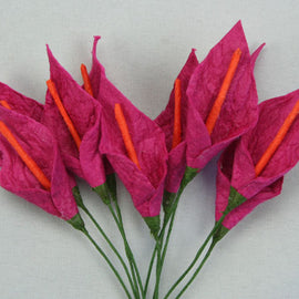 Cerise with Orange Stamen Calla Lillies (FDV051COr10)