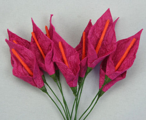 Cerise with Orange Stamen Calla Lillies (FDV051COr10)
