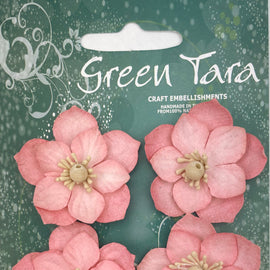 Coral Pink Lotus Flowers (XF14084CP)