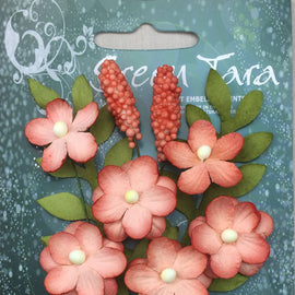 Coral Primrose Collection (PCCor)