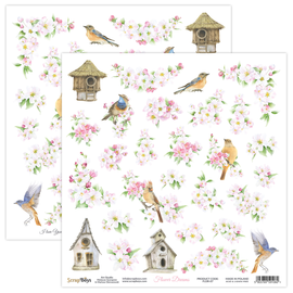 Flower Dreams Sheet 7 12 x 12in Double Sided Paper - Scrap Boys FLDR-07