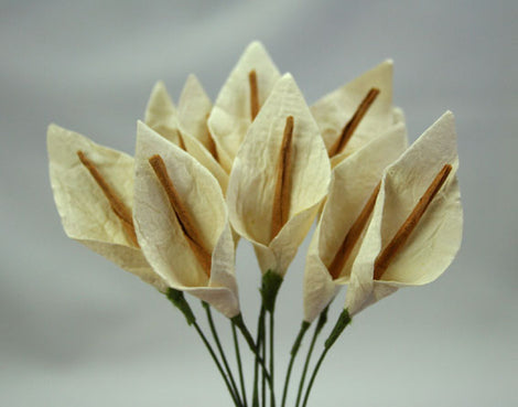 Ivory with Brown Stamen Calla Lillies (FDV051Iv/B10)