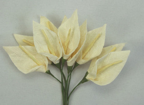 Ivory with Pale Yellow Stamen Calla Lillies (FDV051Iv10)