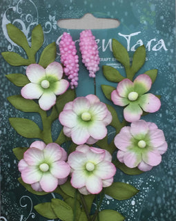 Pale Pink Primrose Collection (PCPP)