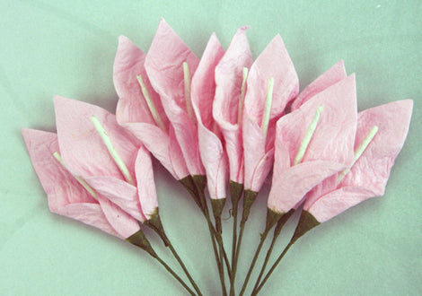 Pale Pink with Ivory Stamen Calla Lillies (FDV051PP10)