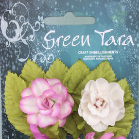 Rose Tea Roses with Leaves (TRRo)