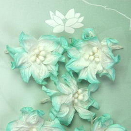 Turquoise/White Apple Blossoms (FDV044TW5)