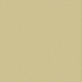 Ultimate Crafts Cardstock - 12x12 - Driftwood (250gsm)