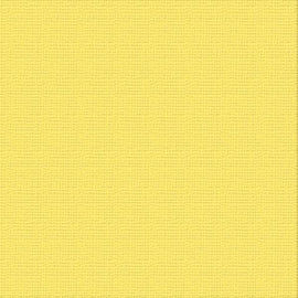 Ultimate Crafts Cardstock - 12x12 - Raincoat (216gsm)