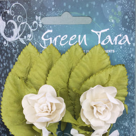 White Tea Roses with Leaves (TRWh)