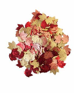 Glitter Leaves - Pumpkin & Spice Collection - 40 grams (655350647872)